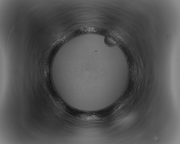 X0000086750747200705041427