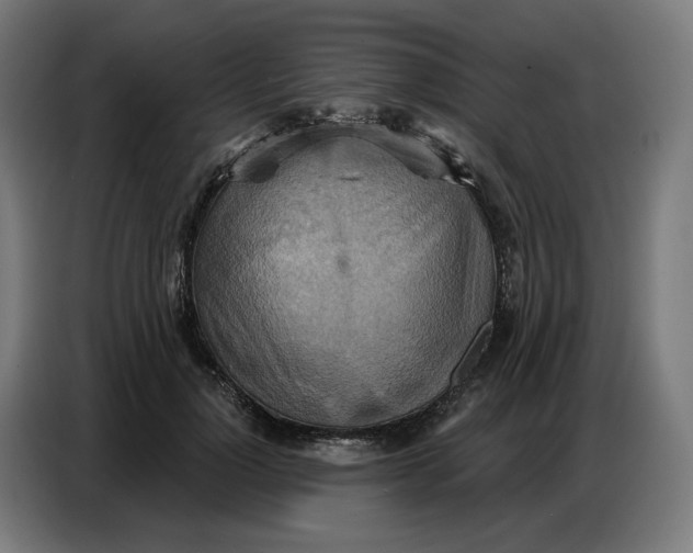 X0000086750748200705041427