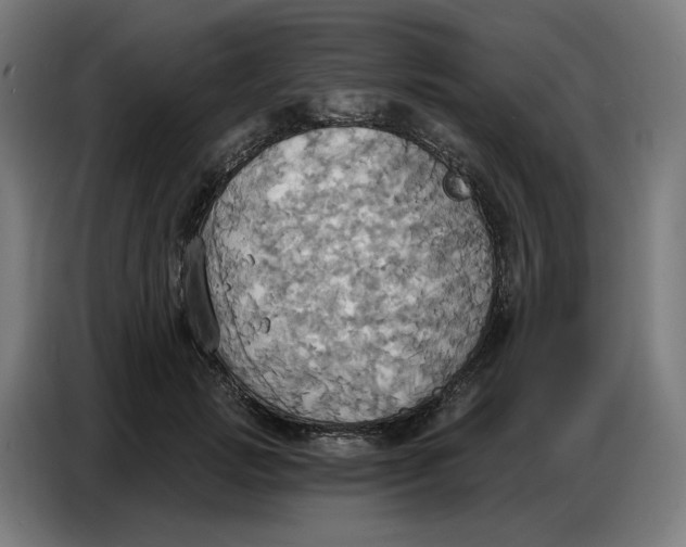 X0000086750749200705041427