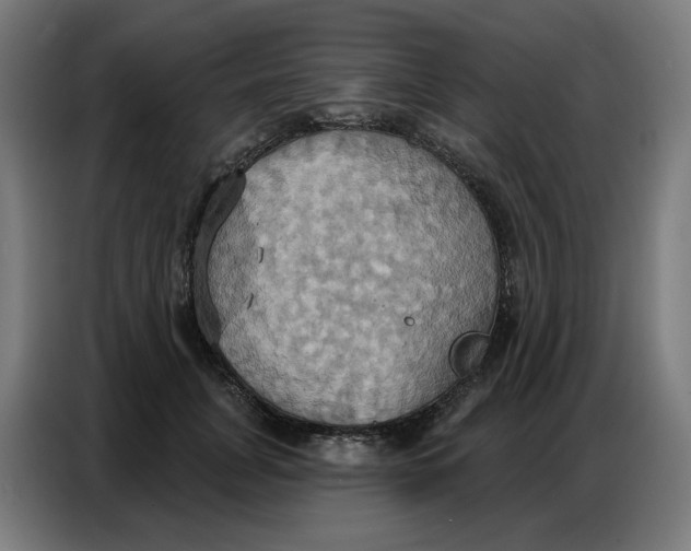 X0000086750751200705041427