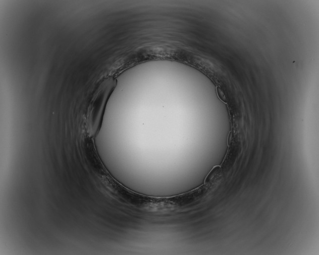 X0000086750752200705041427