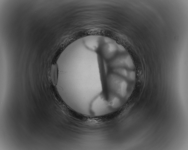 X0000086750753200705041427