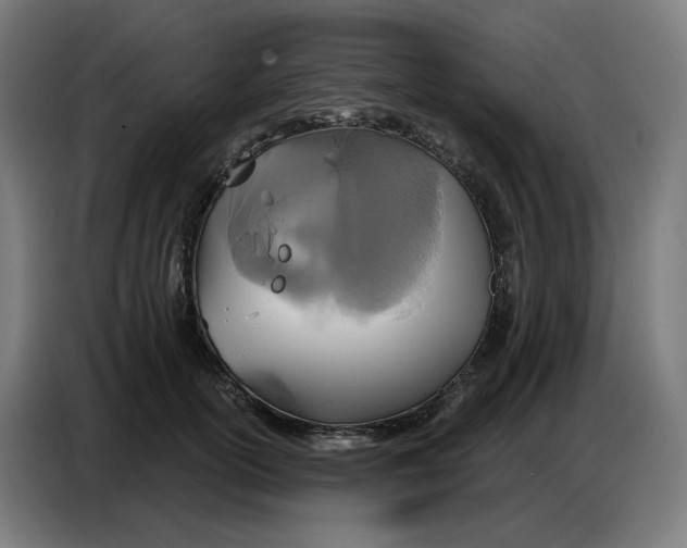 X0000086750754200705041427