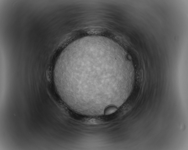 X0000086750755200705041427