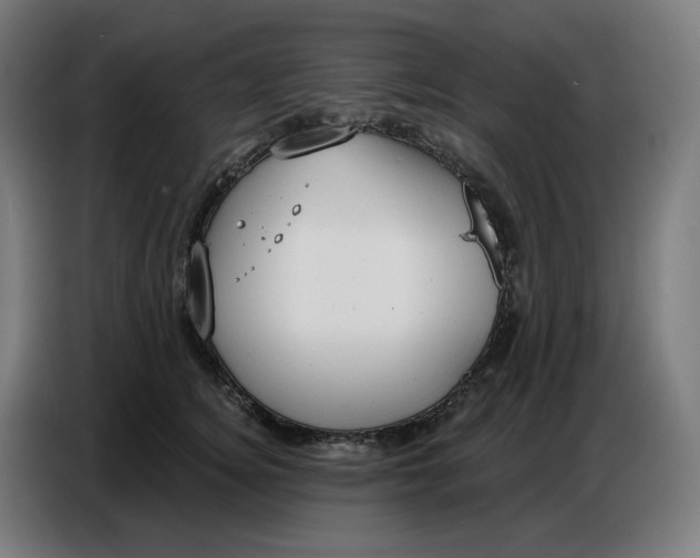 X0000086750756200705041427