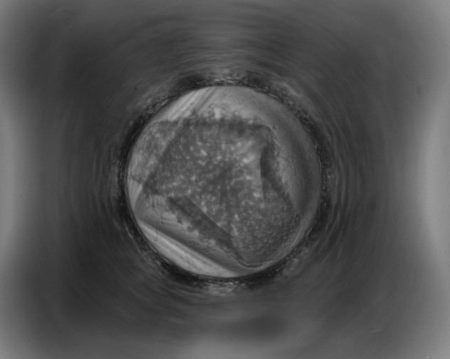 X0000086750757200705041427