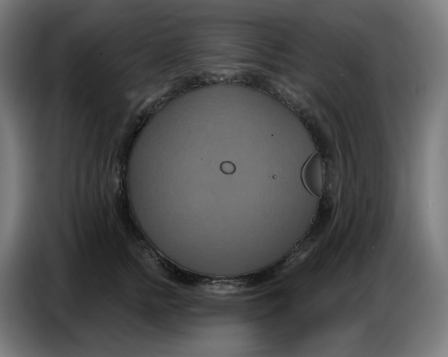 X0000086750758200705041427