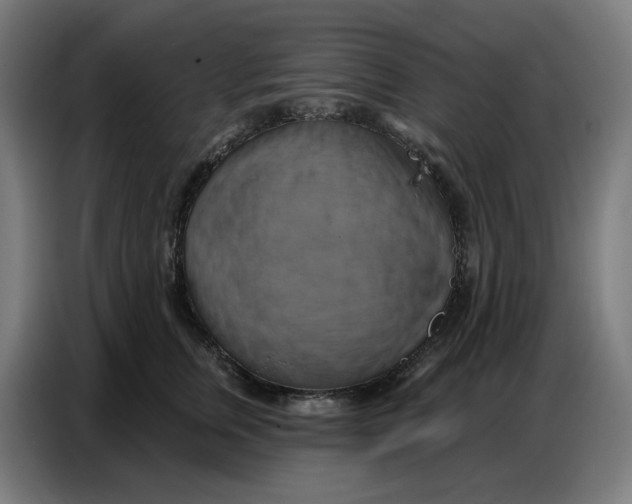 X0000086750759200705041427