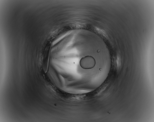 X0000086750760200705041427