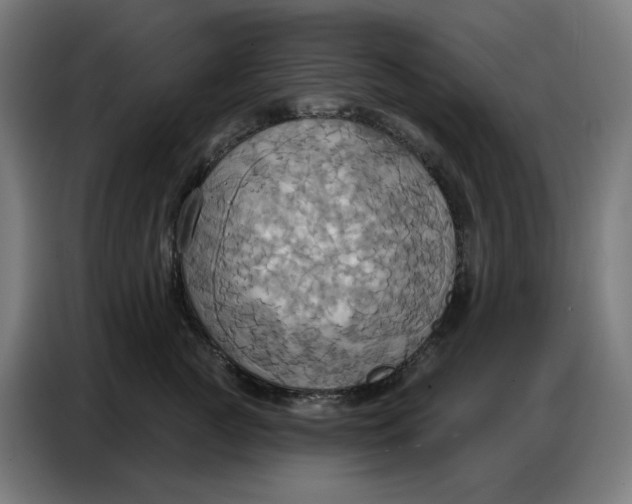 X0000086750761200705041427