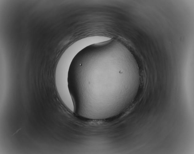 X0000086750762200705041427