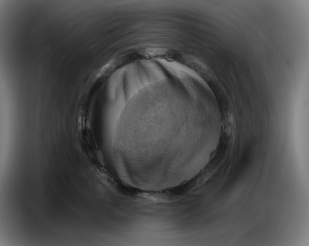 X0000086750763200705041427