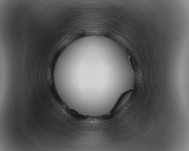 X0000086750764200705041427