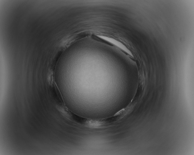 X0000086750766200705041427