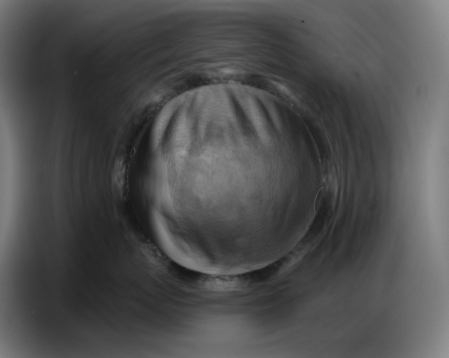 X0000086750767200705041427