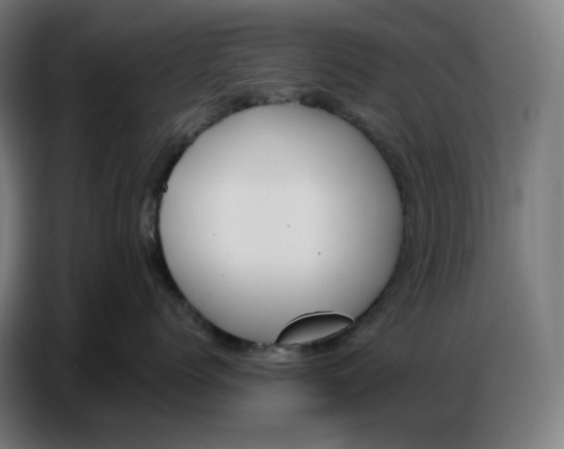 X0000086750768200705041427