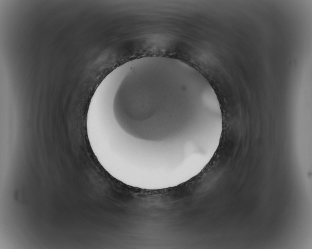 X0000086750769200705041427