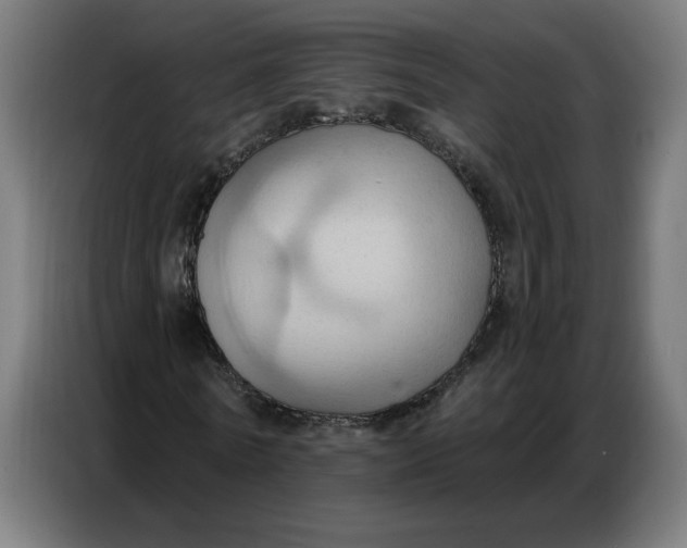 X0000086750770200705041427