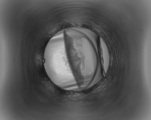 X0000086750772200705041427