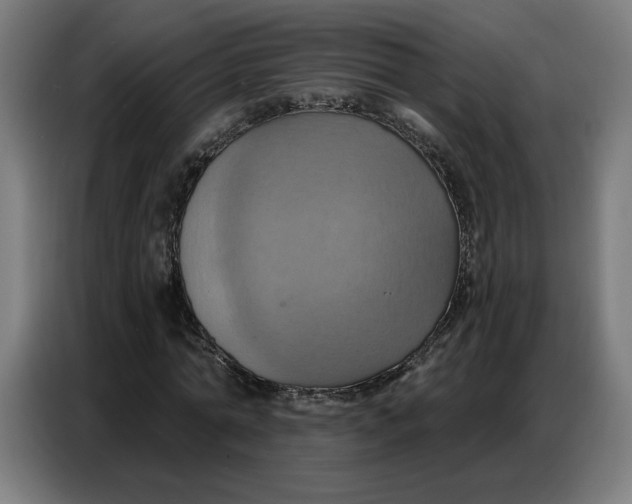 X0000086750774200705041427