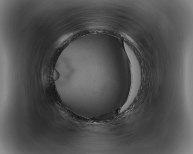 X0000086750775200705041427