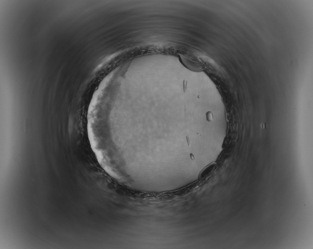 X0000086750776200705041426