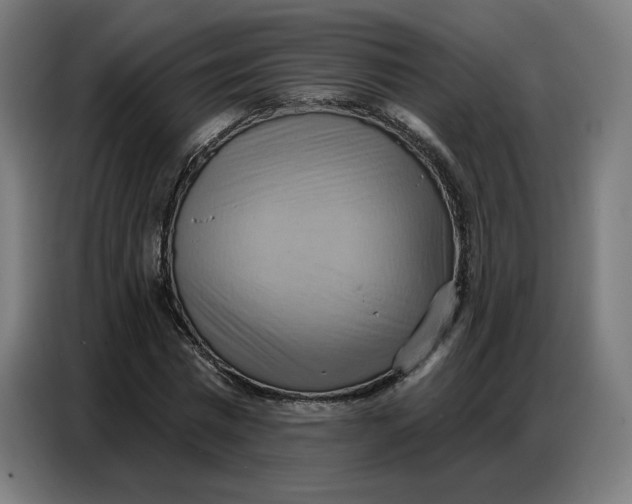 X0000086750777200705041426