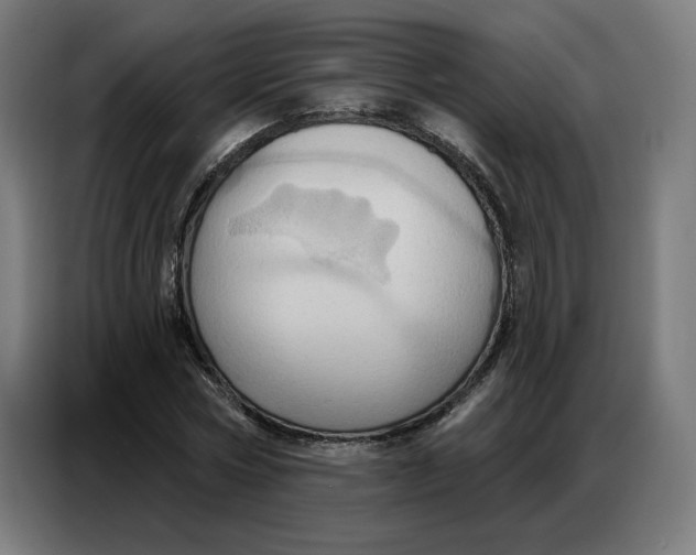 X0000086750778200705041426