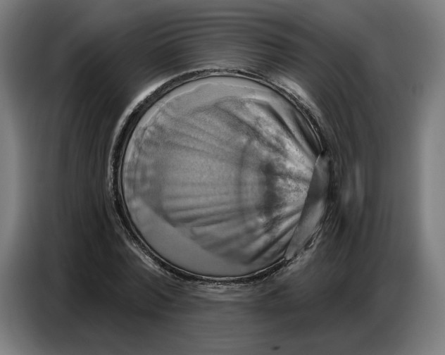 X0000086750780200705041426