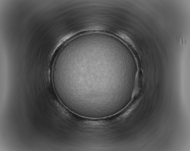 X0000086750781200705041426