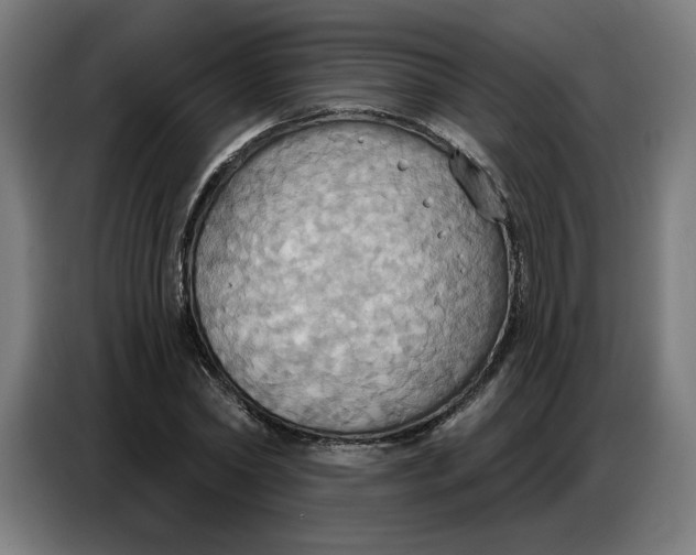 X0000086750782200705041426