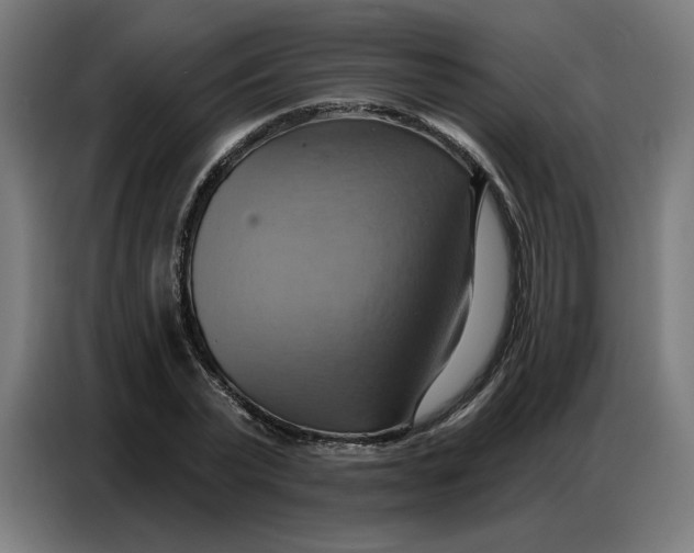 X0000086750783200705041426