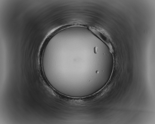 X0000086750784200705041426