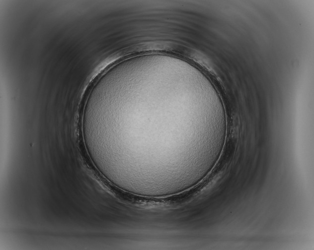 X0000086750786200705041426