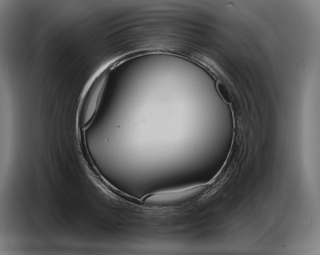 X0000086750788200705041426