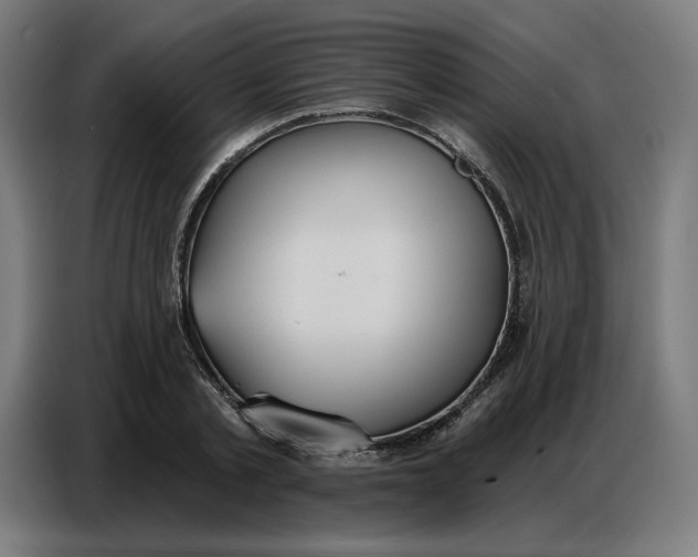 X0000086750789200705041426