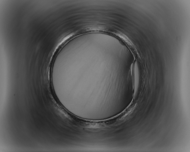 X0000086750790200705041426