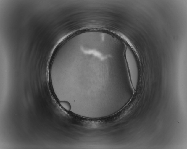 X0000086750791200705041426