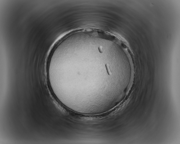 X0000086750792200705041426