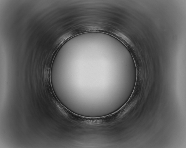 X0000086750793200705041426