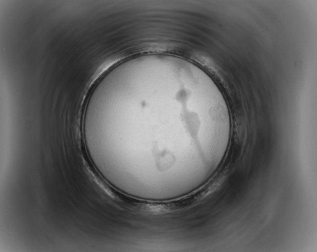 X0000086750794200705041426