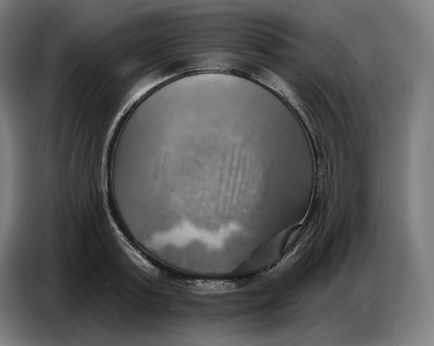 X0000086750795200705041426