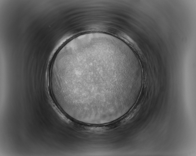 X0000086750796200705041426