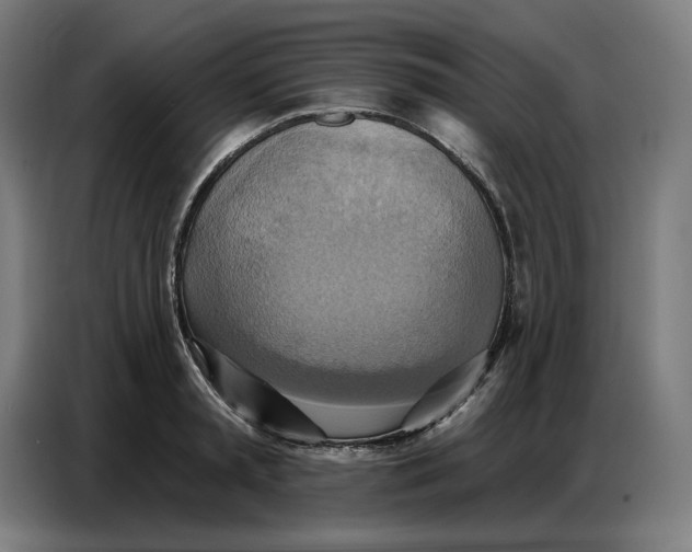 X0000086750797200705041426