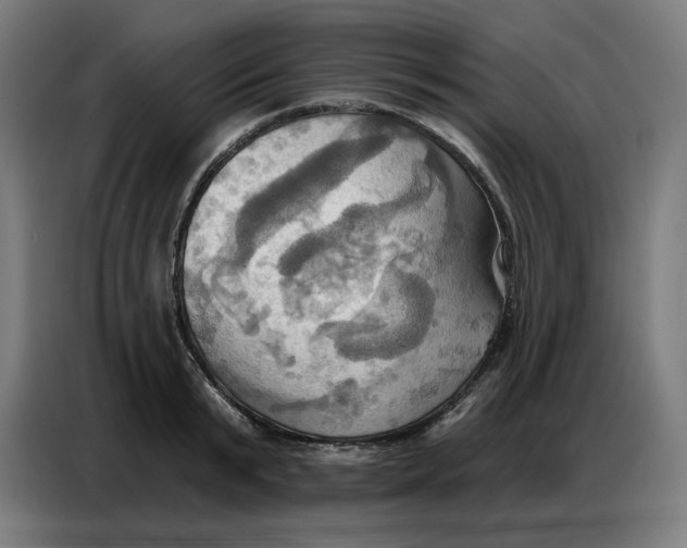 X0000086750799200705041426