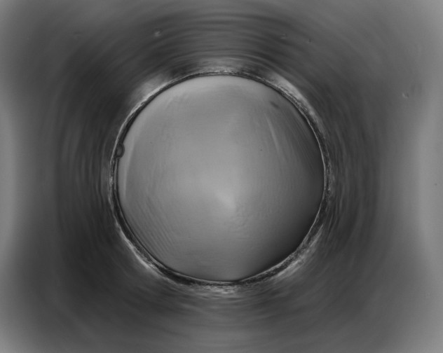 X0000086750802200705041426