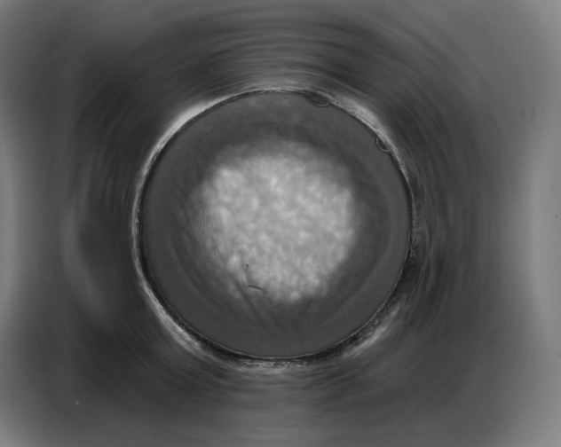 X0000086750803200705041426