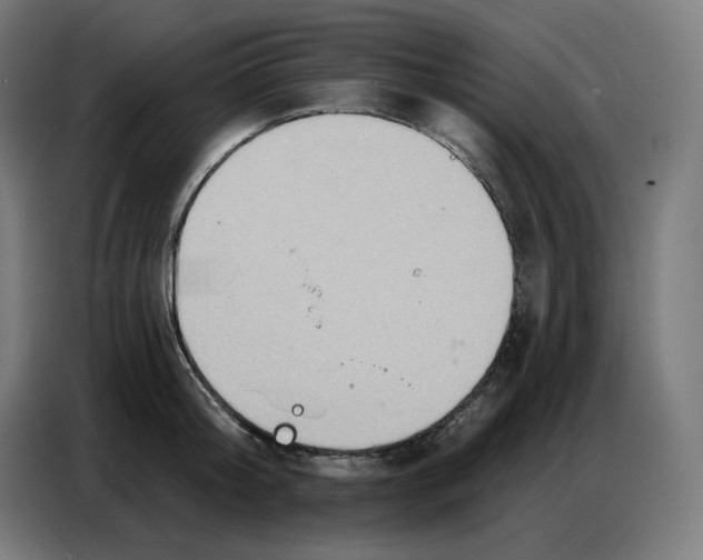 X0000086750804200705041426