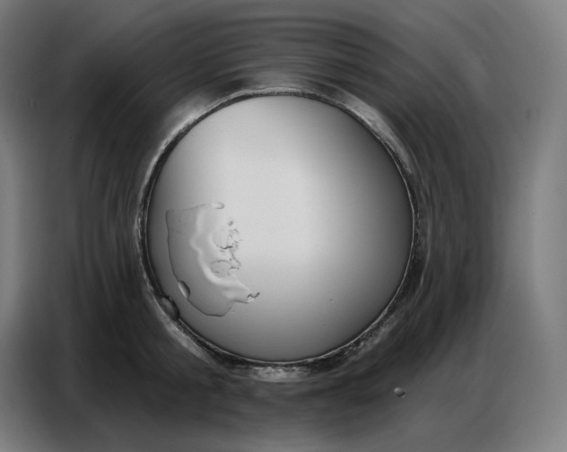 X0000086750805200705041426