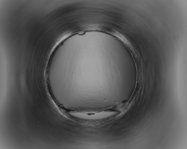 X0000086750806200705041426